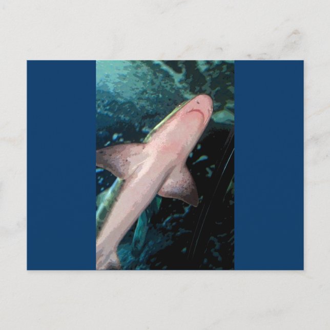 NJ Shark CB Postcard (Front)