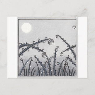 No. 33 Morning Dew Postcard