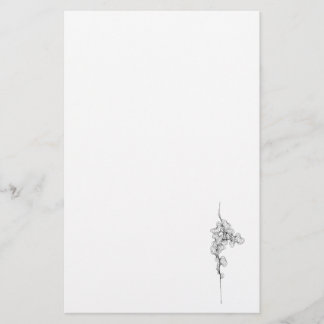 No. 3 Curve on a Stationary Stationery