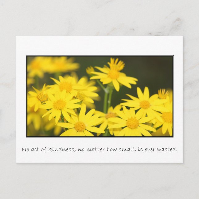 No act of kindness is ever wasted postcard (Front)