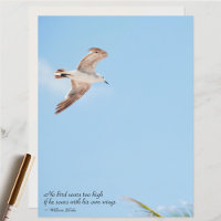 No Bird Soars Too High Seagull  Scrapbook Paper