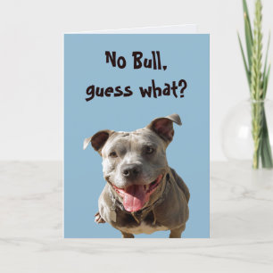 No Bull Wedding Anniversary Card