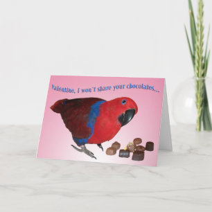 No Chocolate Holiday Card