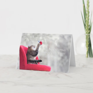 No Christmas amnesty for robins Holiday Card