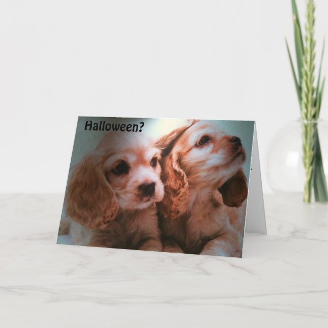 NO COSTUME NEEDED=HALLOWEEN CARD (Front)