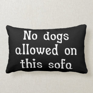 No Dogs Allowed on this Sofa Lumbar Cushion