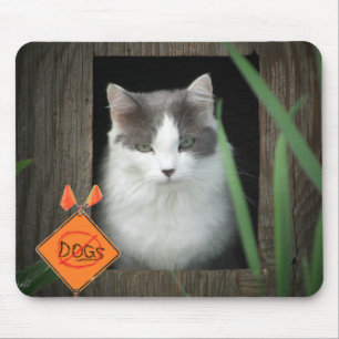 No Dogs Zone  Kitty Mouse Mat