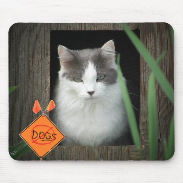 No Dogs Zone  Kitty Mouse Mat (Front)