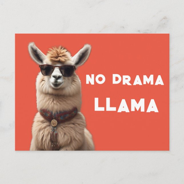 No Drama Llama Cool Alpaca Wear Sunglasses Orange Postcard (Front)