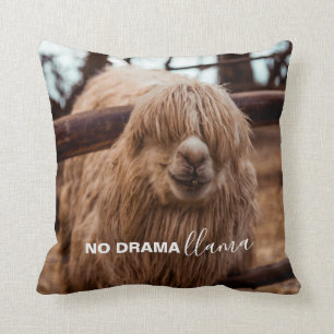 No Drama Llama Silly Alpaca Photo Cushion