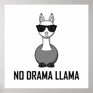 No Drama Llama Sunglasses Poster