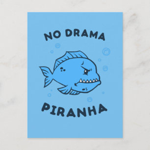 No Drama Piranha Postcard
