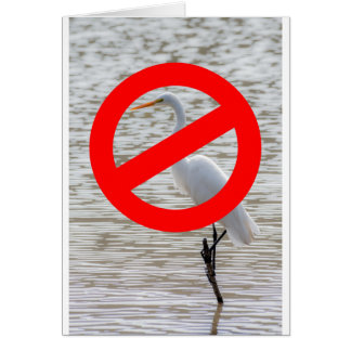 No Egrets