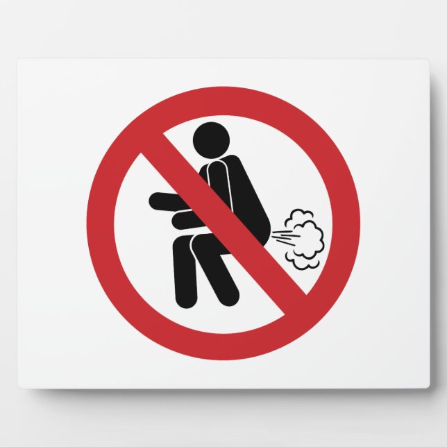 NO Farting ⚠ Funny Thai Toilet Sign ⚠ Plaque (Front)