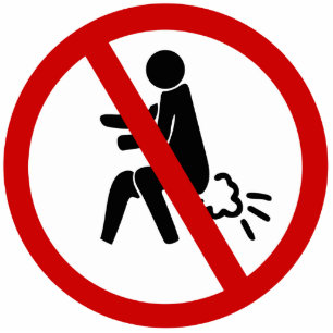 NO Farting ⚠ Funny Thai Toilet Sign ⚠ Standing Photo Sculpture