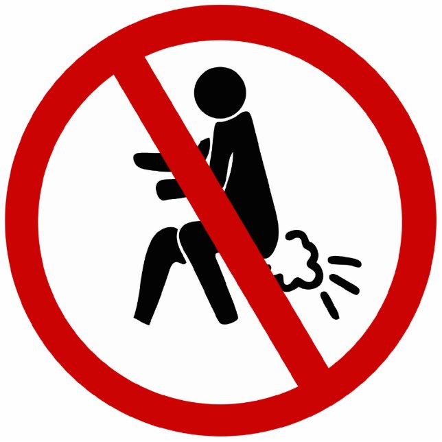 NO Farting ⚠ Funny Thai Toilet Sign ⚠ Standing Photo Sculpture (Front)