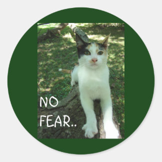 NO FEAR... CLASSIC ROUND STICKER