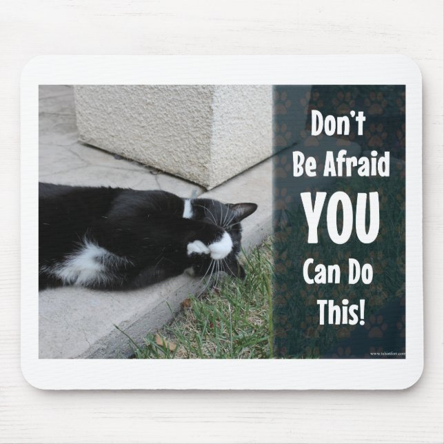 No Fear Kitty Epic Motivational Slogan Photo Mouse Mat (Front)