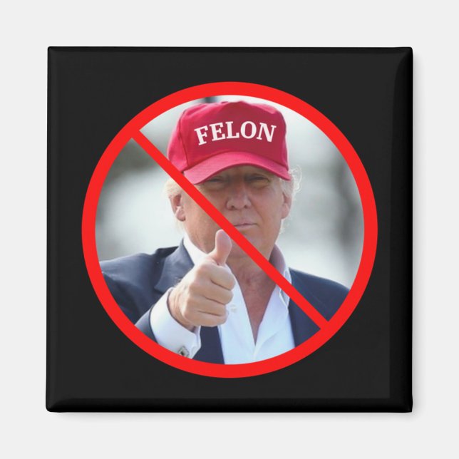 No Felons In Office  Magnet (Front)
