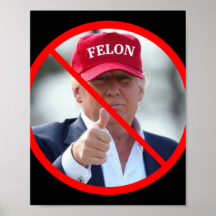 No Felons In Office  Poster