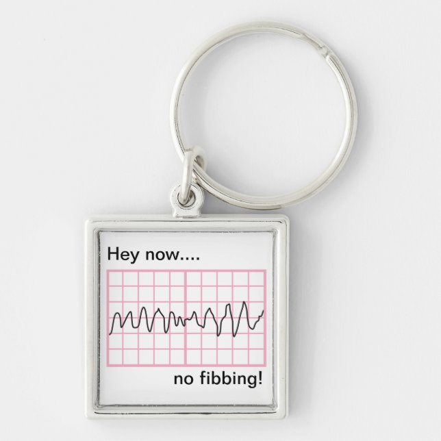 No fibbing Vfib Humorous Cardiology Key Ring (Front)