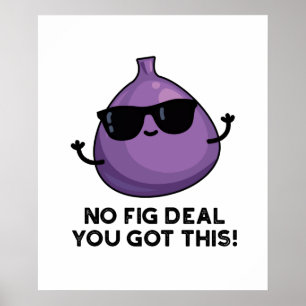 No Fig Deal I Got This Cute Fruit Pun Poster