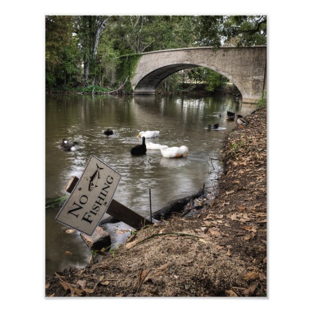 No Fishing in Audubon Park Photo Print (Front)