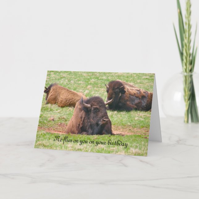 No flies on you on your birthday - Birthday Card (Front)