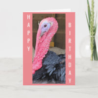 NO **FOWL PLAY HERE** JUST HAPPY BIRTHDAY WISHES