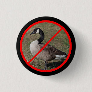 No Geese Allowed 3 Cm Round Badge