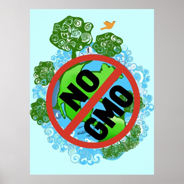 NO GMO POSTER (Front)