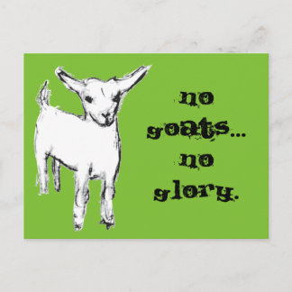 No Goats... No Glory Postcard