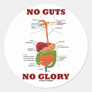 No Guts No Glory (Digestive System Anatomy Humour) Classic Round Sticker