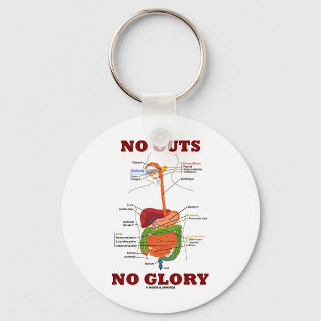 No Guts No Glory (Digestive System Anatomy Humour) Key Ring (Front)
