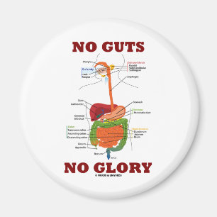 No Guts No Glory (Digestive System Anatomy Humour) Magnet