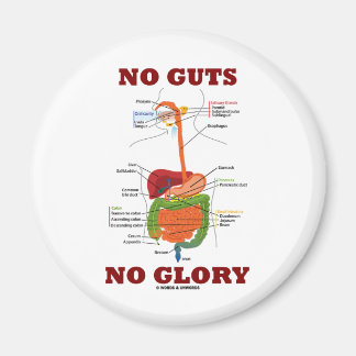 No Guts No Glory (Digestive System Anatomy Humour) Magnet