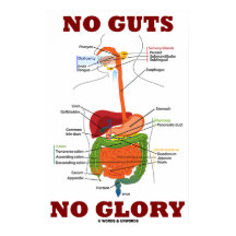 No Guts No Glory (Digestive System Anatomy)