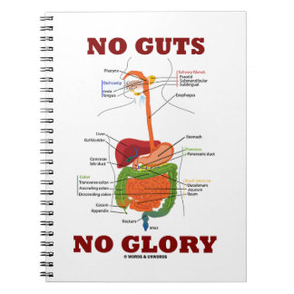 No Guts No Glory (Digestive System Humor) Notebook