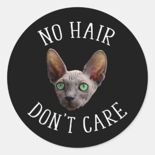 No Hair Don't Care Funny Sphynx Cat Classic Round Sticker