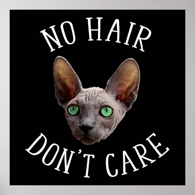 No Hair Don't Care Funny Sphynx Cat Poster (Front)