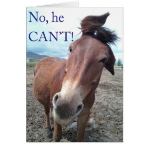 No he CAN'T! Donkey