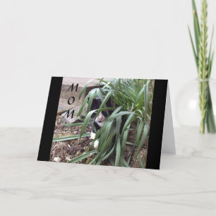 NO HIDING FROM THE TRUTH "BEST MOM" IN THE WORLD CARD