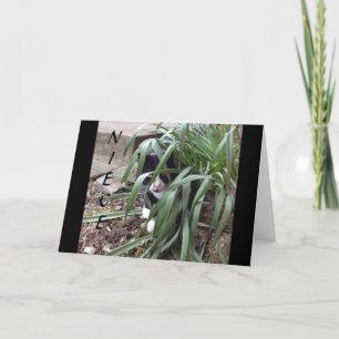 NO HIDING FROM THE TRUTH "BEST NIECE" IN THE WORLD CARD