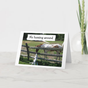 NO HORSING AROUND-IS IT REALLY YOUR BIRTHDAY? CARD