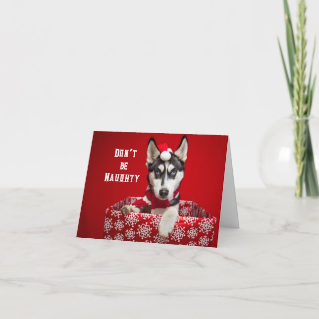 No Humbug Christmas Greeting Card (Front)