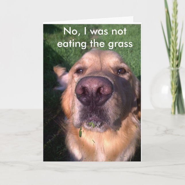 No I Wasn't Card (Front)