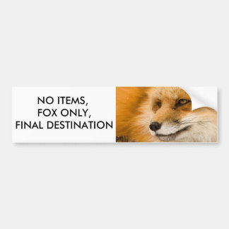 No Items, Fox Only, Final Destination Bumper Sticker