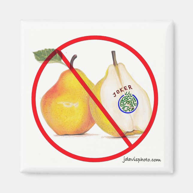 No Jokers Magnet (Front)