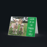 *NO KIDDING AROUND* WISH U BEST BIRTHDAY EVER! CARD<br><div class="desc">I THINK THEY ARE ADORABLE AND HOPE YOU DO AS WELL... ... THANK YOU SO VERY MUCH FOR STOPPING BY ONE OF MY EIGHT STORES!!!!</div>