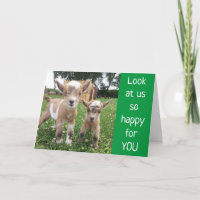 *NO KIDDING AROUND* WISH U BEST BIRTHDAY EVER!